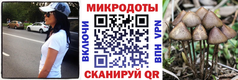 кракен   Дигора  Галлюциногенные грибы Cubensis  наркотики 